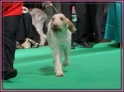 09-03-12 M GoodAsGold_IMG_9667
